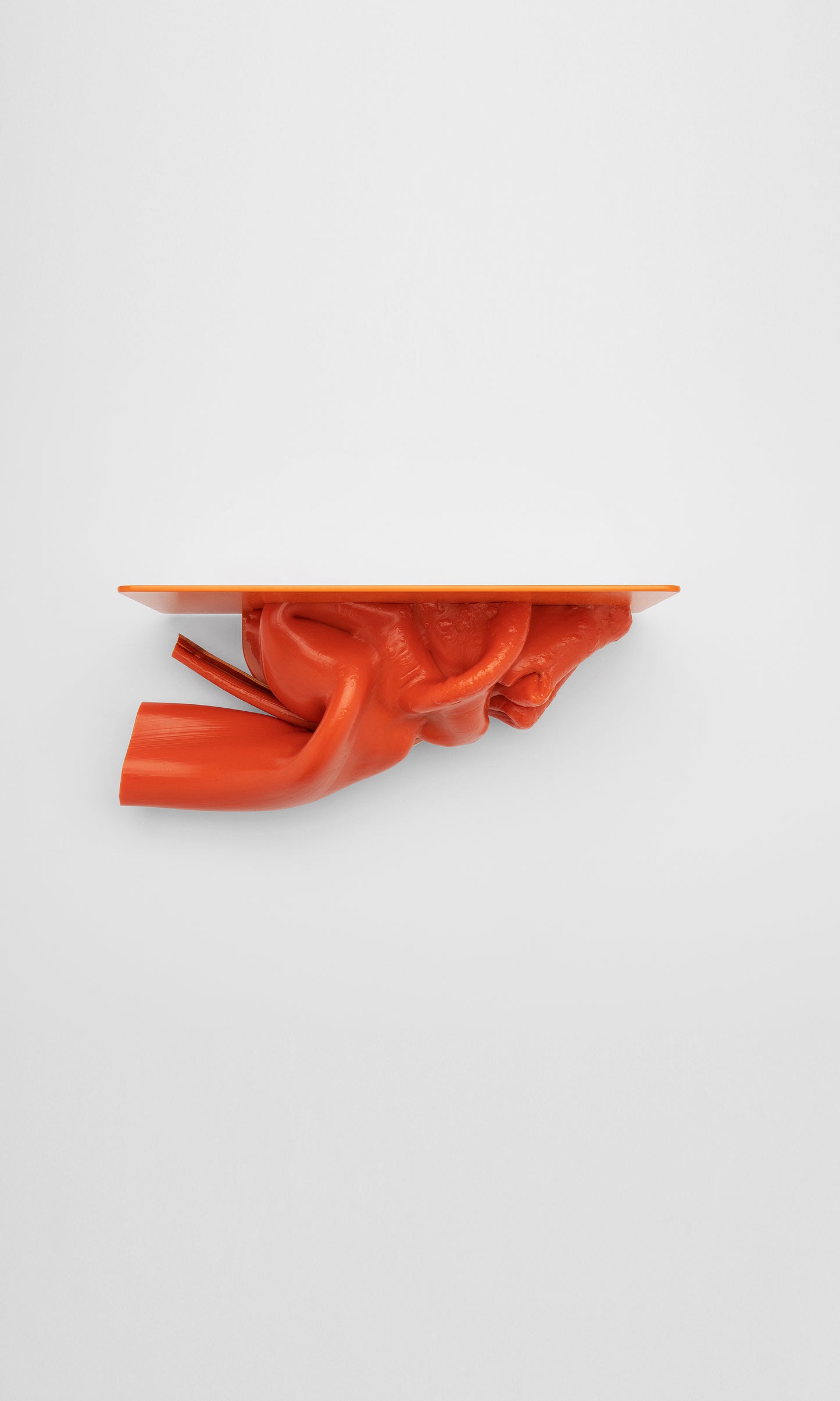YUME YUME x Studio Thier & van Daalen
